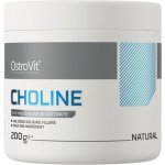 Doplněk stravy OstroVit Supreme Pure Choline 200 g – Hledejceny.cz