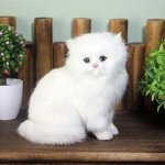 CutePets Kočka bílá atrapa koťátko 1A – Zboží Dáma