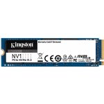 Kingston NV1 1TB, SNVS/1000G – Zboží Živě