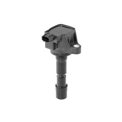 Zapalovací cívka BorgWarner (BERU) ZSE210 – Hledejceny.cz