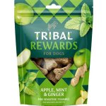 Tribal Netherlands B.V TRIBAL Snack Apple Mint & Ginger 125 g – Sleviste.cz