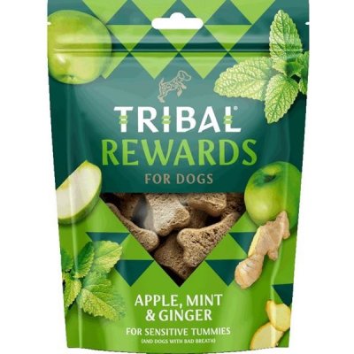 Tribal Netherlands B.V TRIBAL Snack Apple Mint & Ginger 125 g