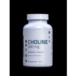Choline 500 mg 90 kapslí – Hledejceny.cz