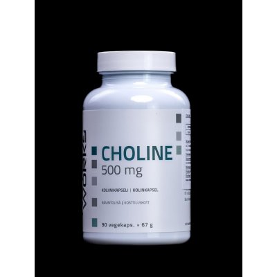 Choline 500 mg 90 kapslí – Hledejceny.cz