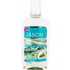 Ústní vody a deodoranty Jason Ústní voda Total Protection s mořskou solí a mátou 473 ml