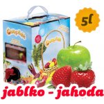 Ovocňák Jablko a jahoda 5 l – Zboží Dáma