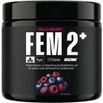 Big Zone Fem2+ 210 g Lesní plody – Hledejceny.cz