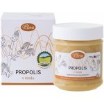 JaHan Pleva Propolis v medu 250 g – Hledejceny.cz