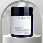 Pyunkang Yul Moisture Cream hydratační krém 100 ml – Hledejceny.cz