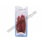 Tetra rostlina Red Foxtail Plus 23 cm – Hledejceny.cz