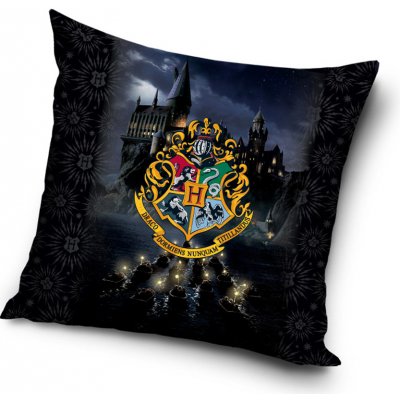 Carbotex Harry Potter Na loďkách do Bradavic 40 x 40 cm – Zbozi.Blesk.cz