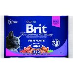 Brit Premium Cat Delicate Fillets in Gravy Cod fish Salmon and Trout 4 x 100 g – Sleviste.cz