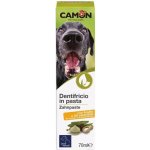 Camon zubní pasta 70 ml – Hledejceny.cz