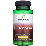 Swanson L-Karnosin 500 mg 60 kapslí – Hledejceny.cz