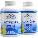 Fitsport Kotvičník zemní 90% + B6 + Zinek 150 kapslí – Hledejceny.cz