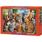 Castorland Kočky v domě 2000 dílků – Zboží Mobilmania