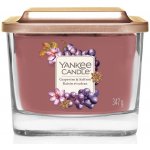 Yankee Candle Elevation Grapevine & Saffron 347 g – Zbozi.Blesk.cz