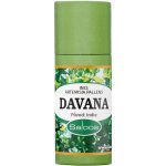 Saloos esenciální olej Davana 1 ml – Hledejceny.cz