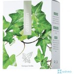Energy Offtusin 60 tablet – Hledejceny.cz