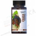 Mushroom Pharmacy ČAGA 120 tablet – Hledejceny.cz