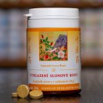 TCM Herbs Vyhlazení slonové kosti 100 tablet – Hledejceny.cz