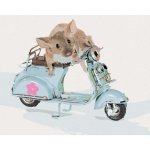 Zuty Malování podle čísel MYŠKA ŘÍDÍ SKÚTR – Hledejceny.cz