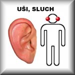 Jukl bylinná směs HUČENÍ V UŠÍCH 100 g – Hledejceny.cz