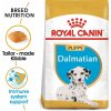 Granule pro psy Royal Canin Dalmatian Junior 2 x 12 kg