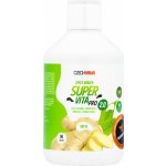 Czech Virus SuperVita Pro V2.0 500 ml spicy ginger – Zboží Mobilmania