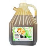 Gelapony Fast Biosol 3 l – Hledejceny.cz