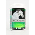 Equistro MEGA BASE Junior 1 l – Hledejceny.cz