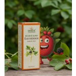 Grešík Eleutherokok kapky Devatero bylin 50 ml – Hledejceny.cz