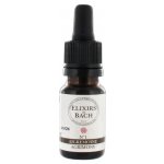 Bachovy květové esence Řepík lékařský Agrimony 10 ml – Hledejceny.cz