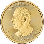 Royal Canadian Mint Maple Zlatá mince 50 CAD Leaf stand 2024 1 oz – Zboží Dáma