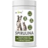 Vitamíny pro psa Dromy Spirulina 600 tbl
