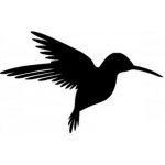 Kreativní svět Kolibřík plastová šablona 14,5x14,5 cm – Zboží Dáma