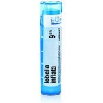 LOBELIA INFLATA POR 9CH GRA 1X4G – Hledejceny.cz