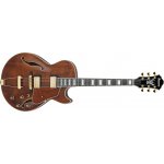 Ibanez AG95MG-DA – Hledejceny.cz