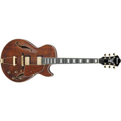 Ibanez AG95MG-DA – Hledejceny.cz