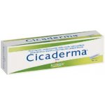 CICADERMA DRM UNG 30G – Hledejceny.cz