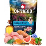 Ontario Puppy & Junior All Breeds Monoprotein Turkey & Sweet Potatoes 0,1 kg – Hledejceny.cz