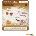 Safari Životní cyklus Žížala – Zbozi.Blesk.cz