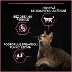 Pro Plan Adult Delicate Digestion krůta 10 kg – Zboží Dáma