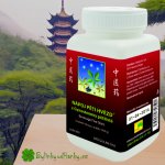 TCM Herbs Nápoj pěti hvězd z Gynostemmy pětilisté 100 g – Hledejceny.cz