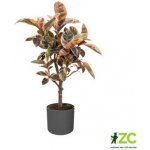 Elho květináč B.For Soft Round 25 cm antracit – Sleviste.cz