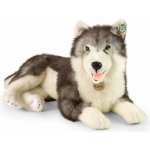 Eco- Friendly Rappa pes husky ležící 60 cm – Zboží Mobilmania