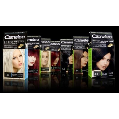 Delia Cameleo barva na vlasy 4.0 středně hnědá