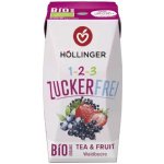 Hollinger BIO Čaj bez cukru Lesní plody 200 ml – Zboží Dáma