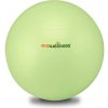 Gymnastický míč ECO Wellness 65 cm
