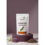 Les Fruits du Paradis Ostropestřec semínko 500 g – Sleviste.cz